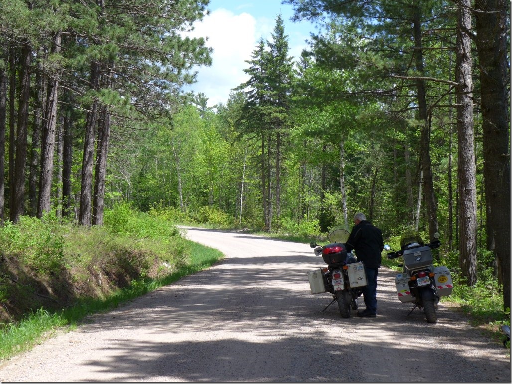Ely-Buycks Road in Superior National Forest